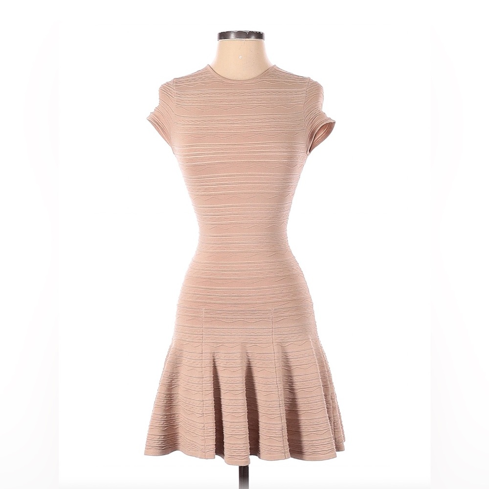 Ronny Kobo Collection Blush Pink Textured Fit-and-Flare Mini Dress